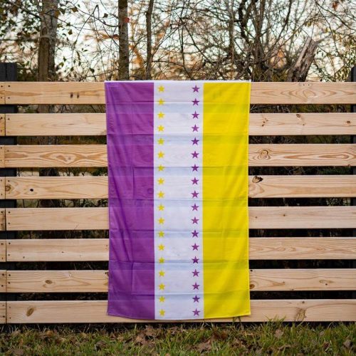 19th Amendment Flag Fence