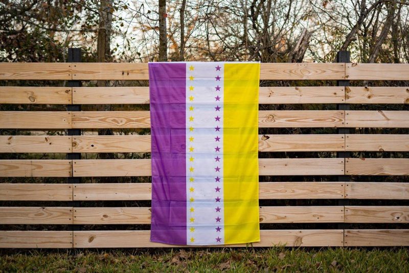 19th Amendment Flag Fence