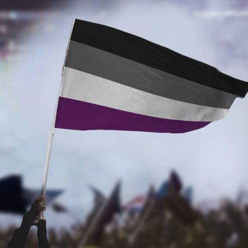 AsexualFlagProtest