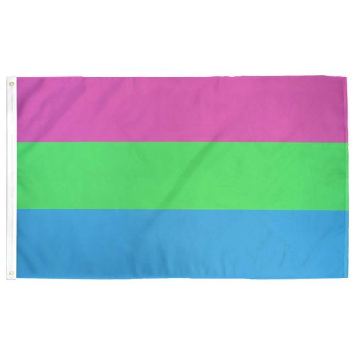 Poly Pride Flag