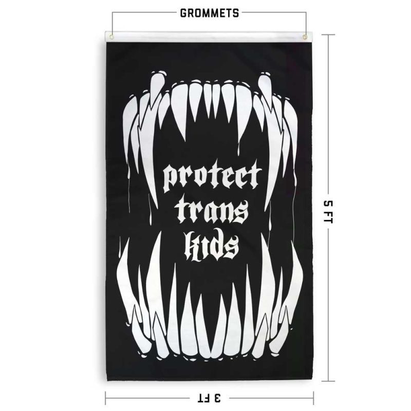 Protect Trans Kids Flag Specs 8e6ab8be be33 40a1 9308 99333c81c79e