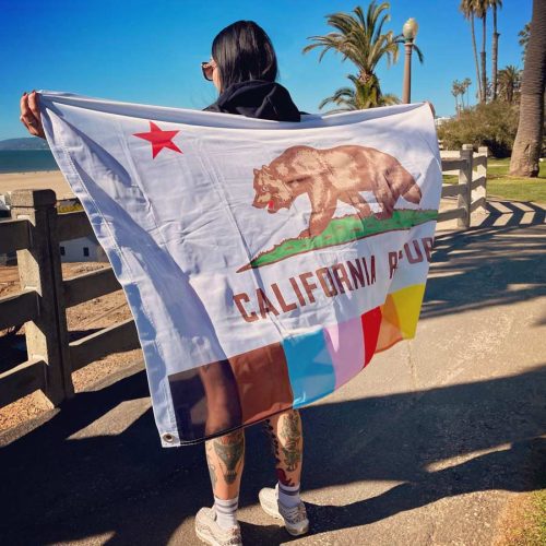 Raibow Pride California Flag Beach