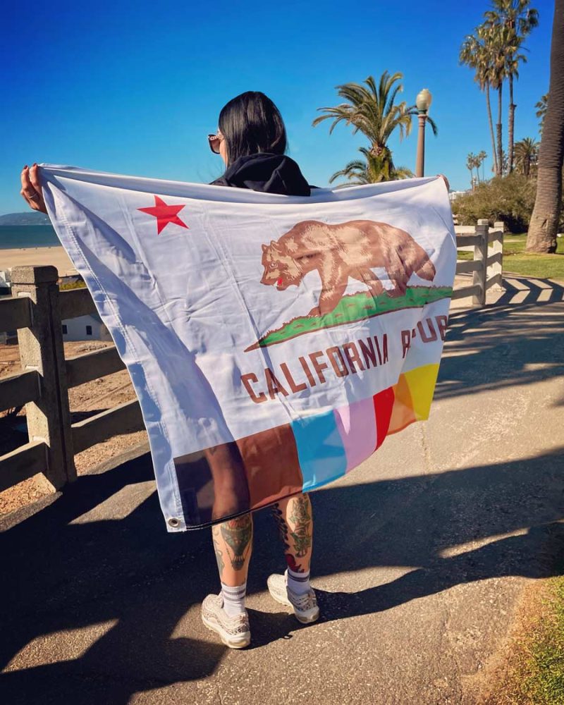 Raibow Pride California Flag Beach