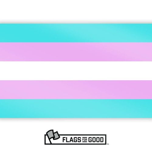 Trans Flag Sticker