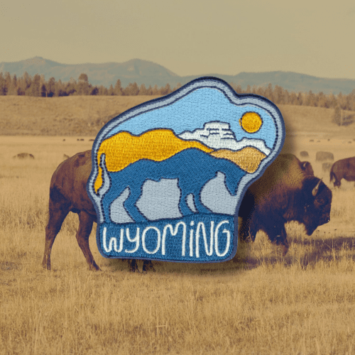 WYBison 2