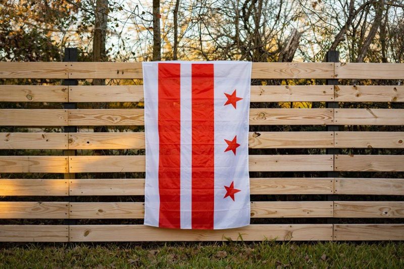 Washington DC Flag Fence