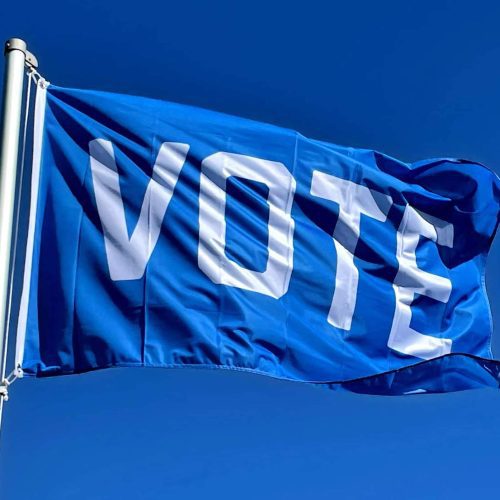 blue vote flag on a flagpole